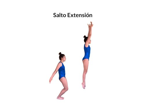 MEP-Slider-7.Salto extension